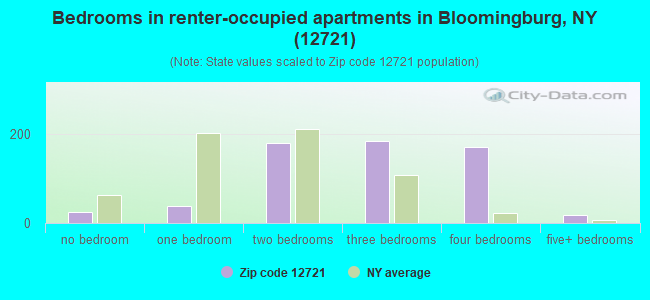 Bedrooms in renter-occupied apartments in Bloomingburg, NY (12721) 