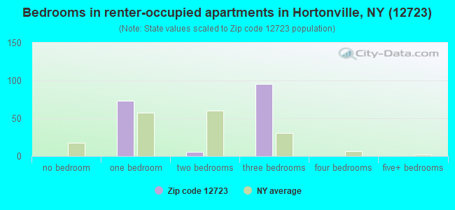 Bedrooms in renter-occupied apartments in Hortonville, NY (12723) 