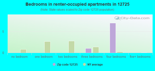 Bedrooms in renter-occupied apartments in 12725 