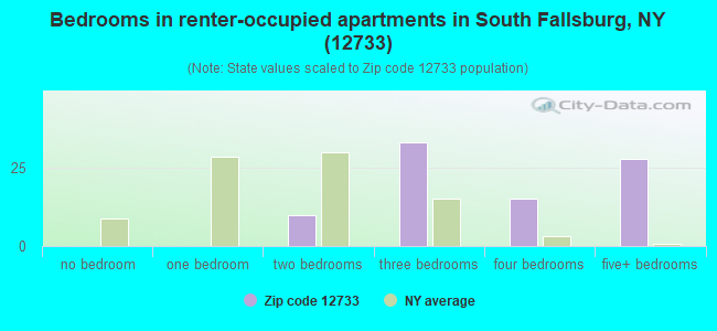 Bedrooms in renter-occupied apartments in South Fallsburg, NY (12733) 
