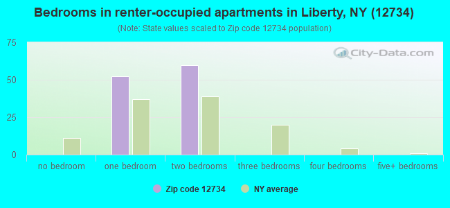Bedrooms in renter-occupied apartments in Liberty, NY (12734) 