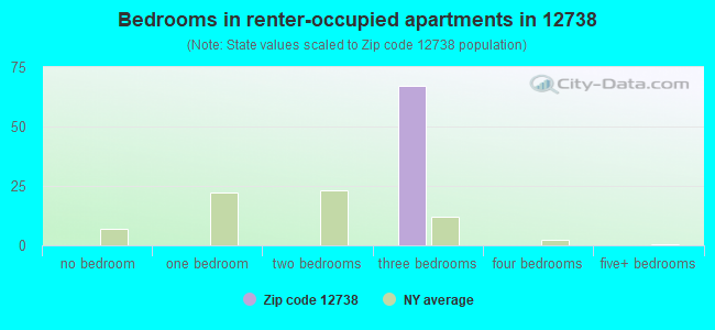 Bedrooms in renter-occupied apartments in 12738 