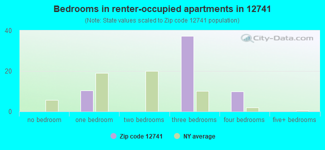 Bedrooms in renter-occupied apartments in 12741 