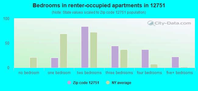 Bedrooms in renter-occupied apartments in 12751 