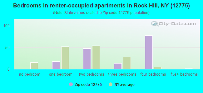 Bedrooms in renter-occupied apartments in Rock Hill, NY (12775) 