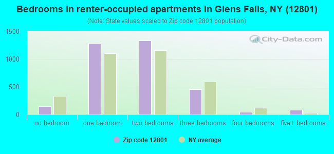 Bedrooms in renter-occupied apartments in Glens Falls, NY (12801) 