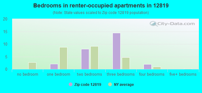 Bedrooms in renter-occupied apartments in 12819 