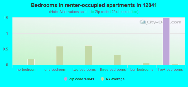 Bedrooms in renter-occupied apartments in 12841 