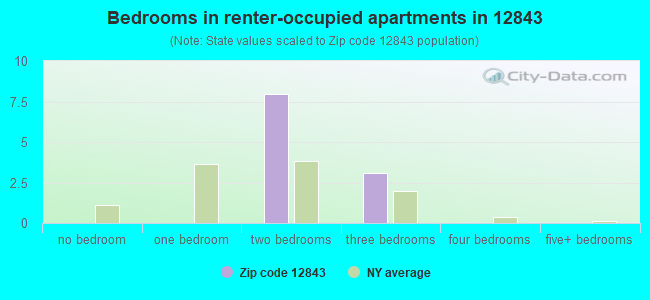 Bedrooms in renter-occupied apartments in 12843 