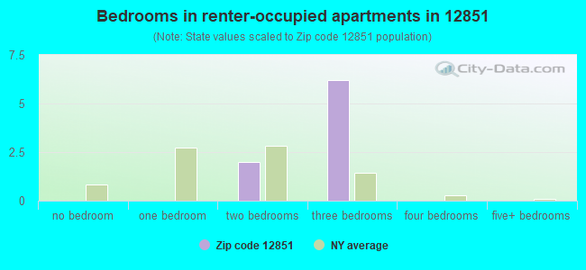 Bedrooms in renter-occupied apartments in 12851 