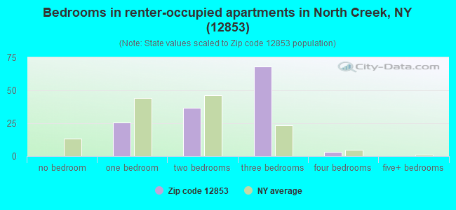Bedrooms in renter-occupied apartments in North Creek, NY (12853) 