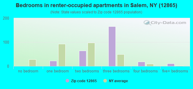 Bedrooms in renter-occupied apartments in Salem, NY (12865) 