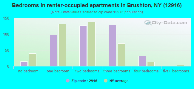 Bedrooms in renter-occupied apartments in Brushton, NY (12916) 