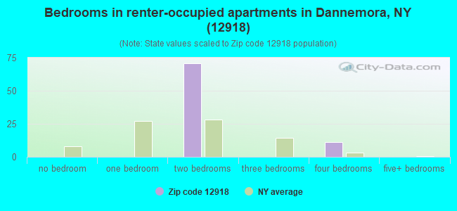 Bedrooms in renter-occupied apartments in Dannemora, NY (12918) 