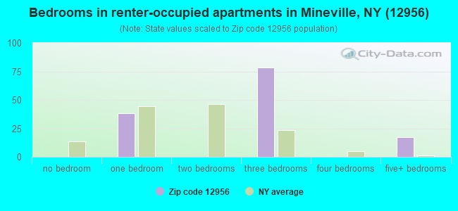 Bedrooms in renter-occupied apartments in Mineville, NY (12956) 