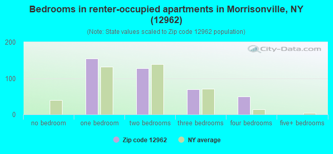 Bedrooms in renter-occupied apartments in Morrisonville, NY (12962) 