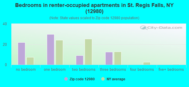 Bedrooms in renter-occupied apartments in St. Regis Falls, NY (12980) 