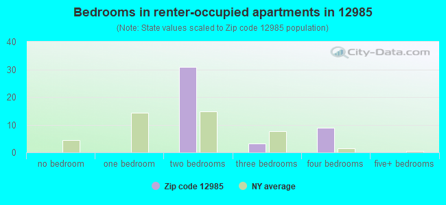 Bedrooms in renter-occupied apartments in 12985 