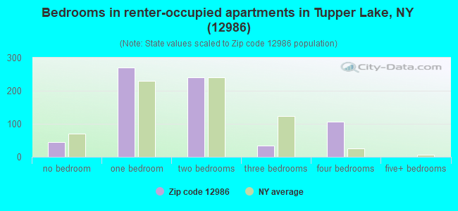 Bedrooms in renter-occupied apartments in Tupper Lake, NY (12986) 
