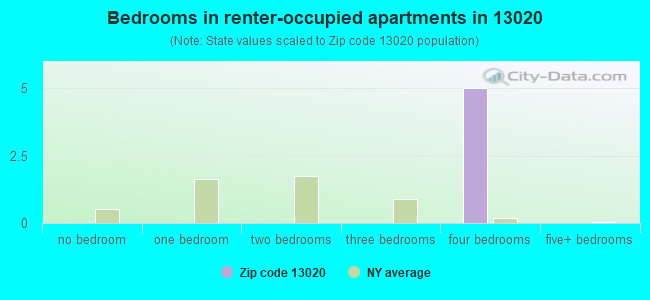 Bedrooms in renter-occupied apartments in 13020 