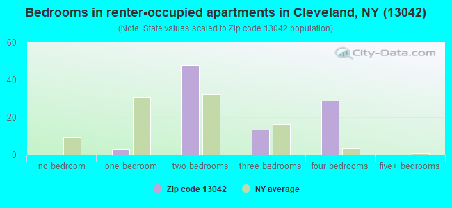 Bedrooms in renter-occupied apartments in Cleveland, NY (13042) 