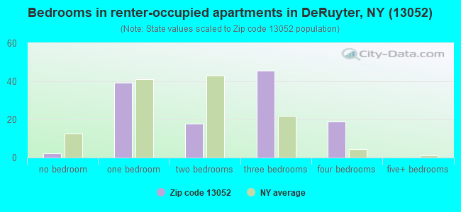 Bedrooms in renter-occupied apartments in DeRuyter, NY (13052) 