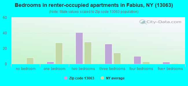 Bedrooms in renter-occupied apartments in Fabius, NY (13063) 