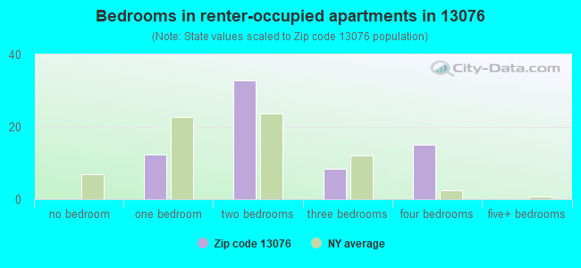 Bedrooms in renter-occupied apartments in 13076 