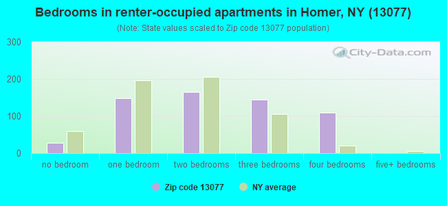 Bedrooms in renter-occupied apartments in Homer, NY (13077) 