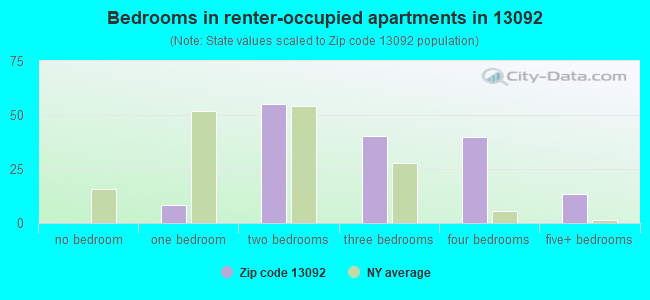 Bedrooms in renter-occupied apartments in 13092 