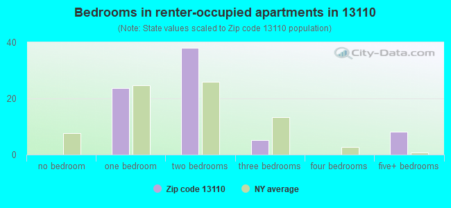Bedrooms in renter-occupied apartments in 13110 