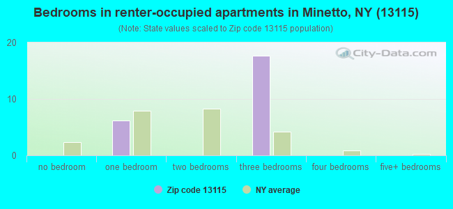 Bedrooms in renter-occupied apartments in Minetto, NY (13115) 