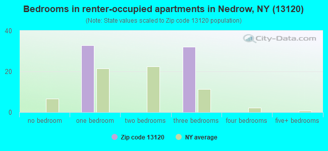 Bedrooms in renter-occupied apartments in Nedrow, NY (13120) 