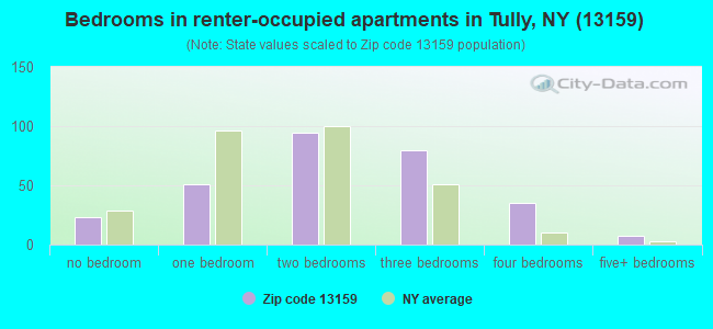 Bedrooms in renter-occupied apartments in Tully, NY (13159) 