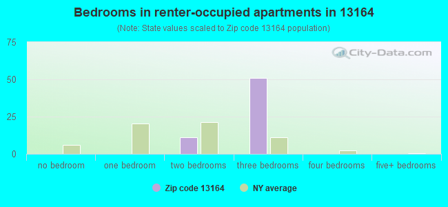 Bedrooms in renter-occupied apartments in 13164 