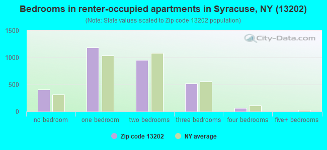Bedrooms in renter-occupied apartments in Syracuse, NY (13202) 