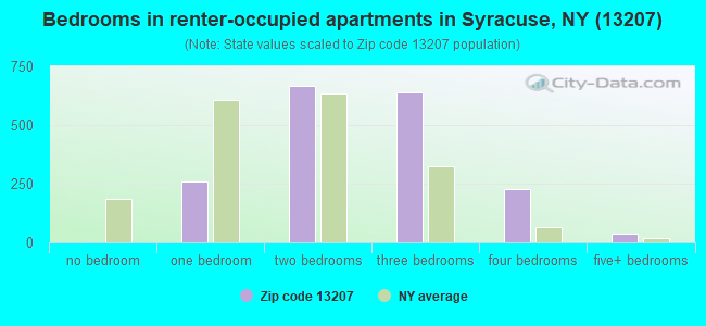 Bedrooms in renter-occupied apartments in Syracuse, NY (13207) 