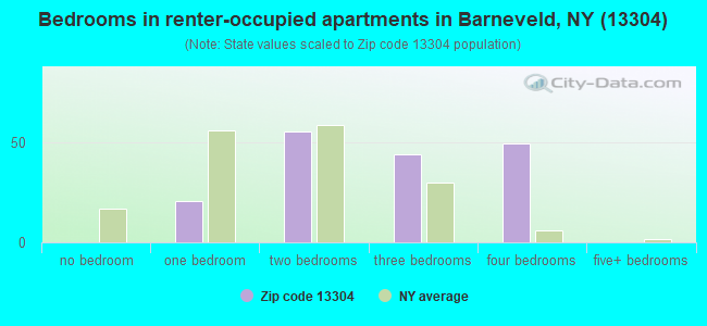 Bedrooms in renter-occupied apartments in Barneveld, NY (13304) 