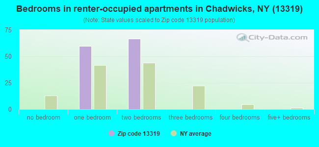 Bedrooms in renter-occupied apartments in Chadwicks, NY (13319) 