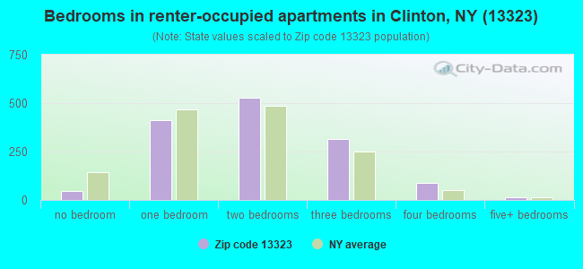 Bedrooms in renter-occupied apartments in Clinton, NY (13323) 
