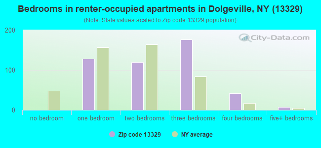 Bedrooms in renter-occupied apartments in Dolgeville, NY (13329) 