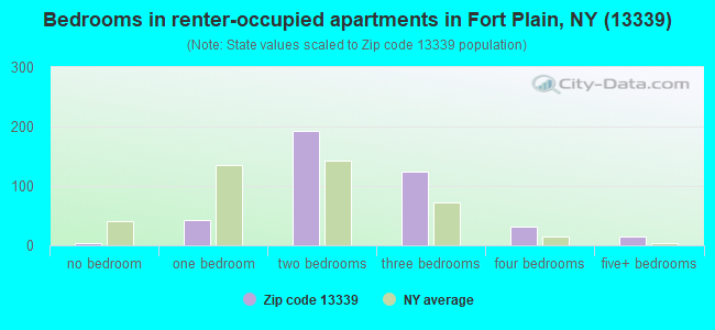 Bedrooms in renter-occupied apartments in Fort Plain, NY (13339) 