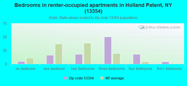Bedrooms in renter-occupied apartments in Holland Patent, NY (13354) 