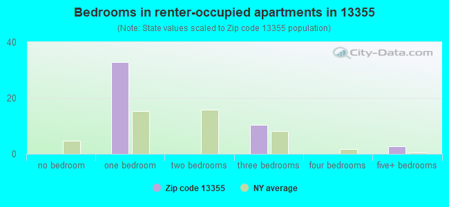 Bedrooms in renter-occupied apartments in 13355 