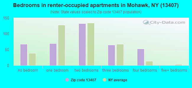 Bedrooms in renter-occupied apartments in Mohawk, NY (13407) 