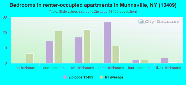 Bedrooms in renter-occupied apartments in Munnsville, NY (13409) 