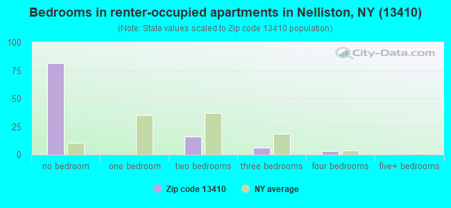 Bedrooms in renter-occupied apartments in Nelliston, NY (13410) 