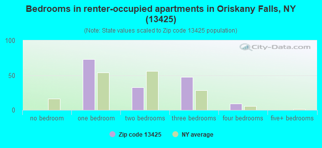 Bedrooms in renter-occupied apartments in Oriskany Falls, NY (13425) 