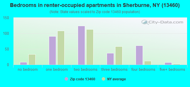 Bedrooms in renter-occupied apartments in Sherburne, NY (13460) 