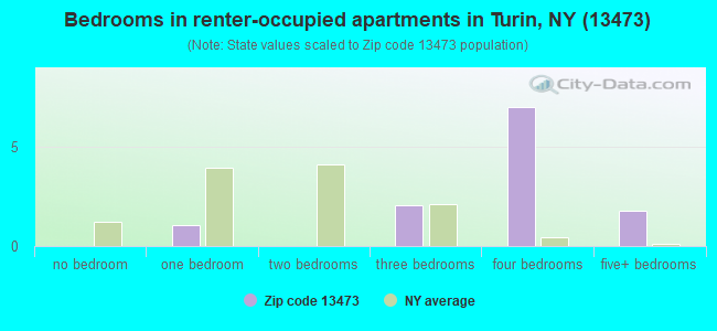 Bedrooms in renter-occupied apartments in Turin, NY (13473) 